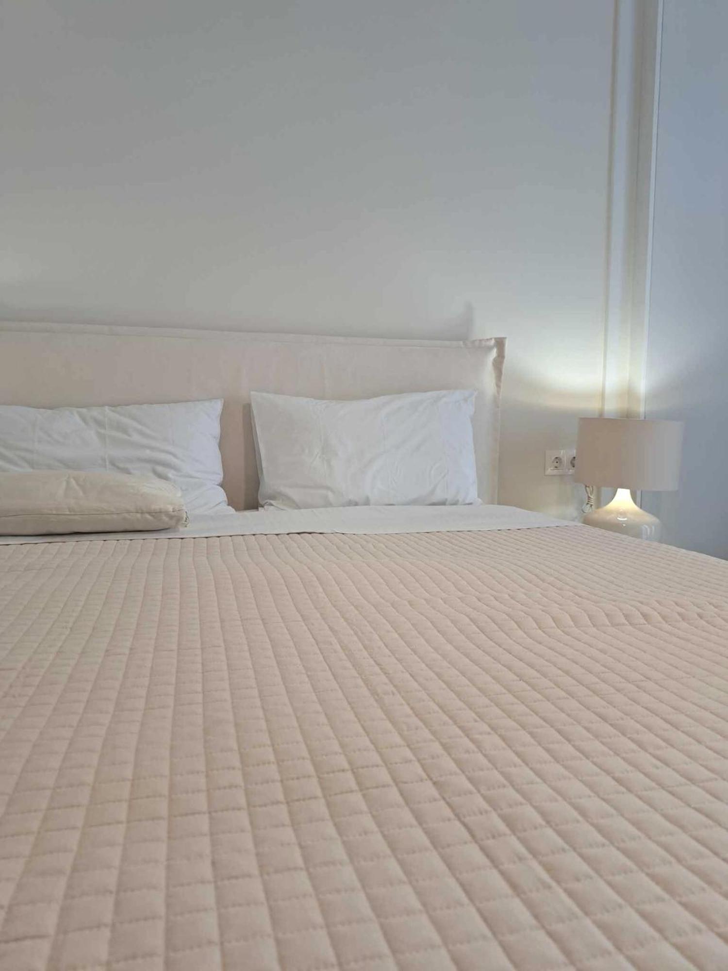 Acropolis Flat Atenas Exterior foto